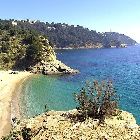 "Ti Sable" Agreable Studio Climatise, Jolie Vue Mer, Piscine A Cavalaire Sur Mer Golfe De St-Tropez Екстериор снимка