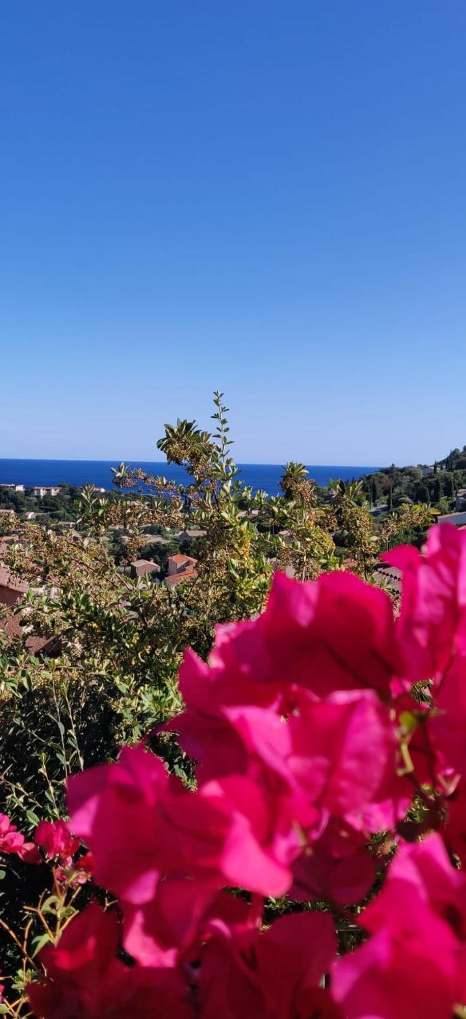 "Ti Sable" Agreable Studio Climatise, Jolie Vue Mer, Piscine A Cavalaire Sur Mer Golfe De St-Tropez Екстериор снимка